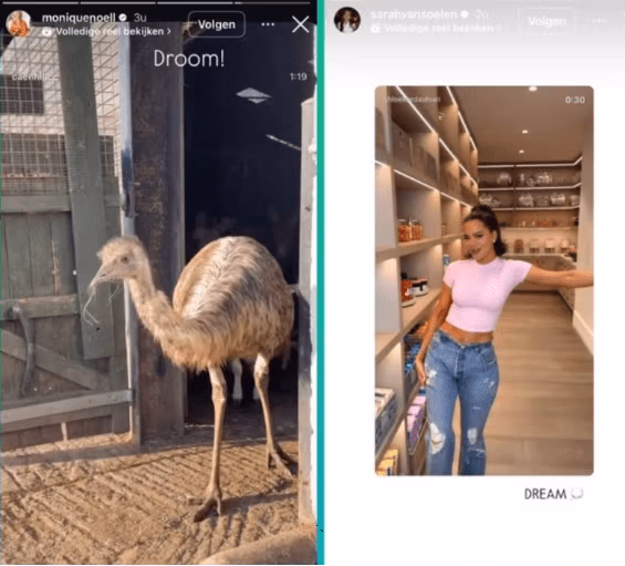 Sarah van Soelen en Monique Westenberg Instagram conflict